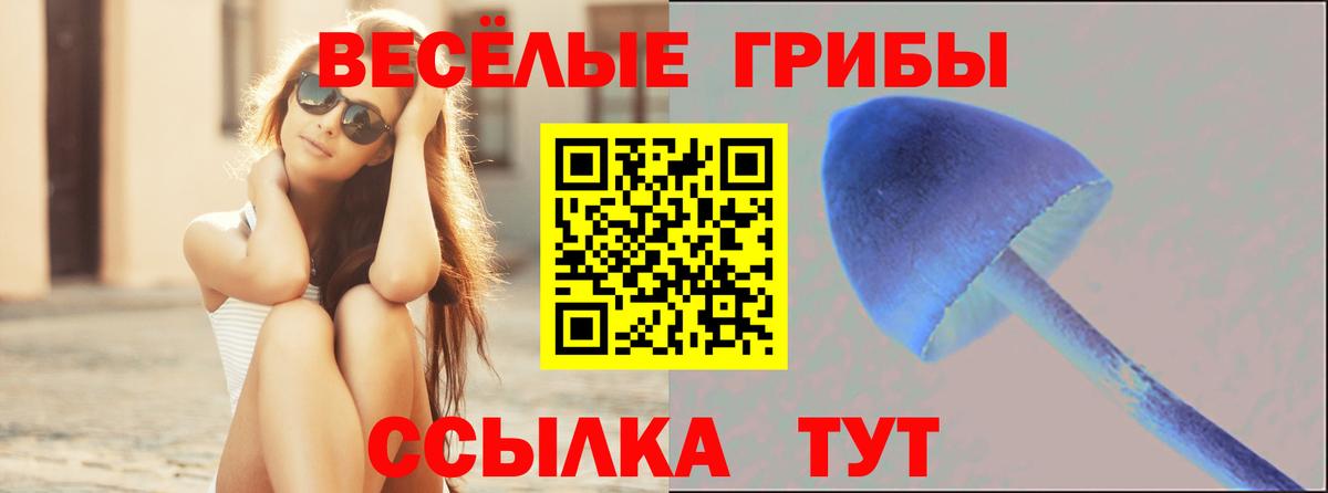 Галлюциногенные грибы мухоморы  Вход с VPN  Унеча 